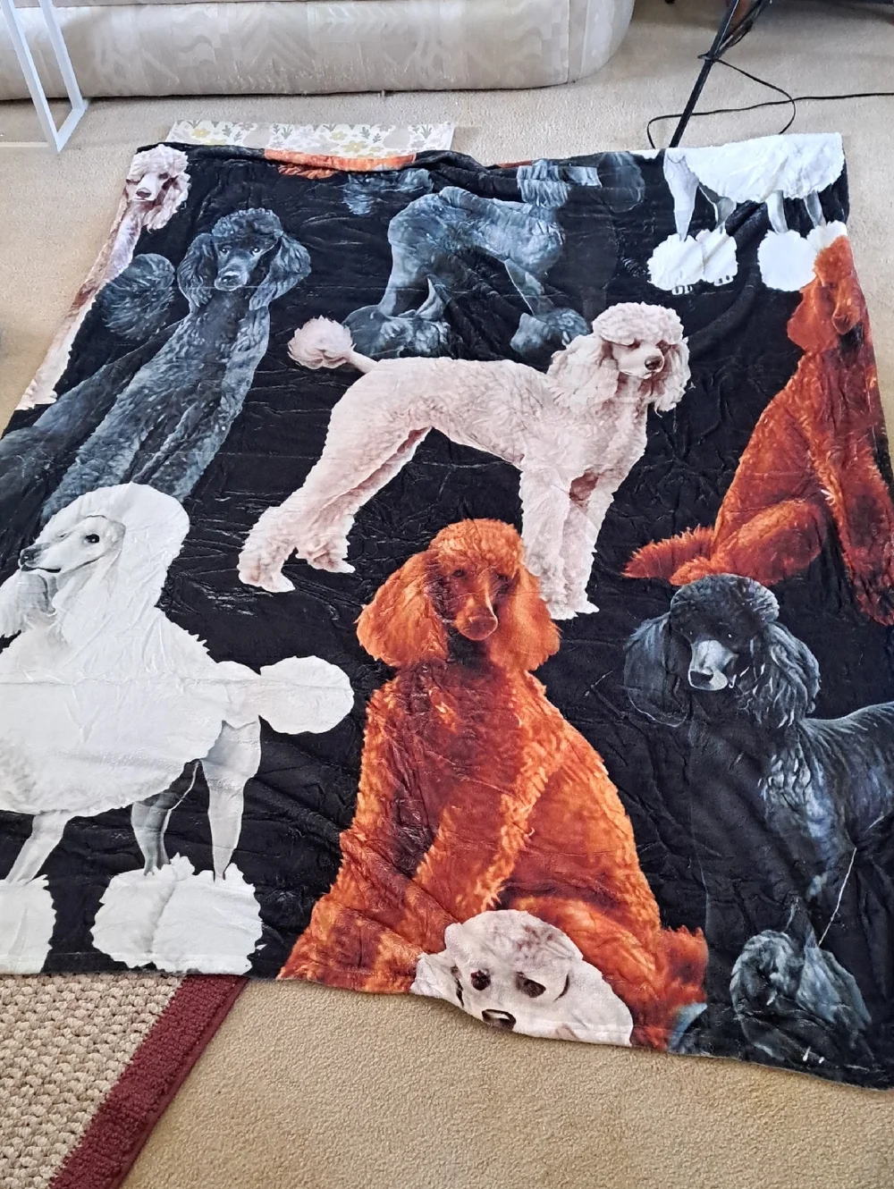 Plush Poodle Print Pet Blanket - Black, White, Orange 60 X 77